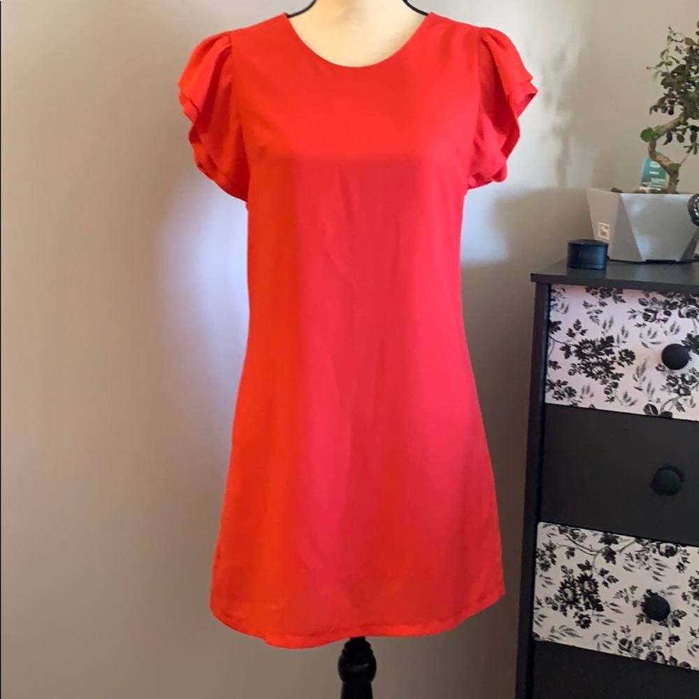 Francesca’s Dress